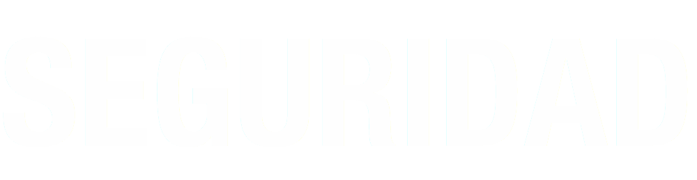 SEGURIDAD